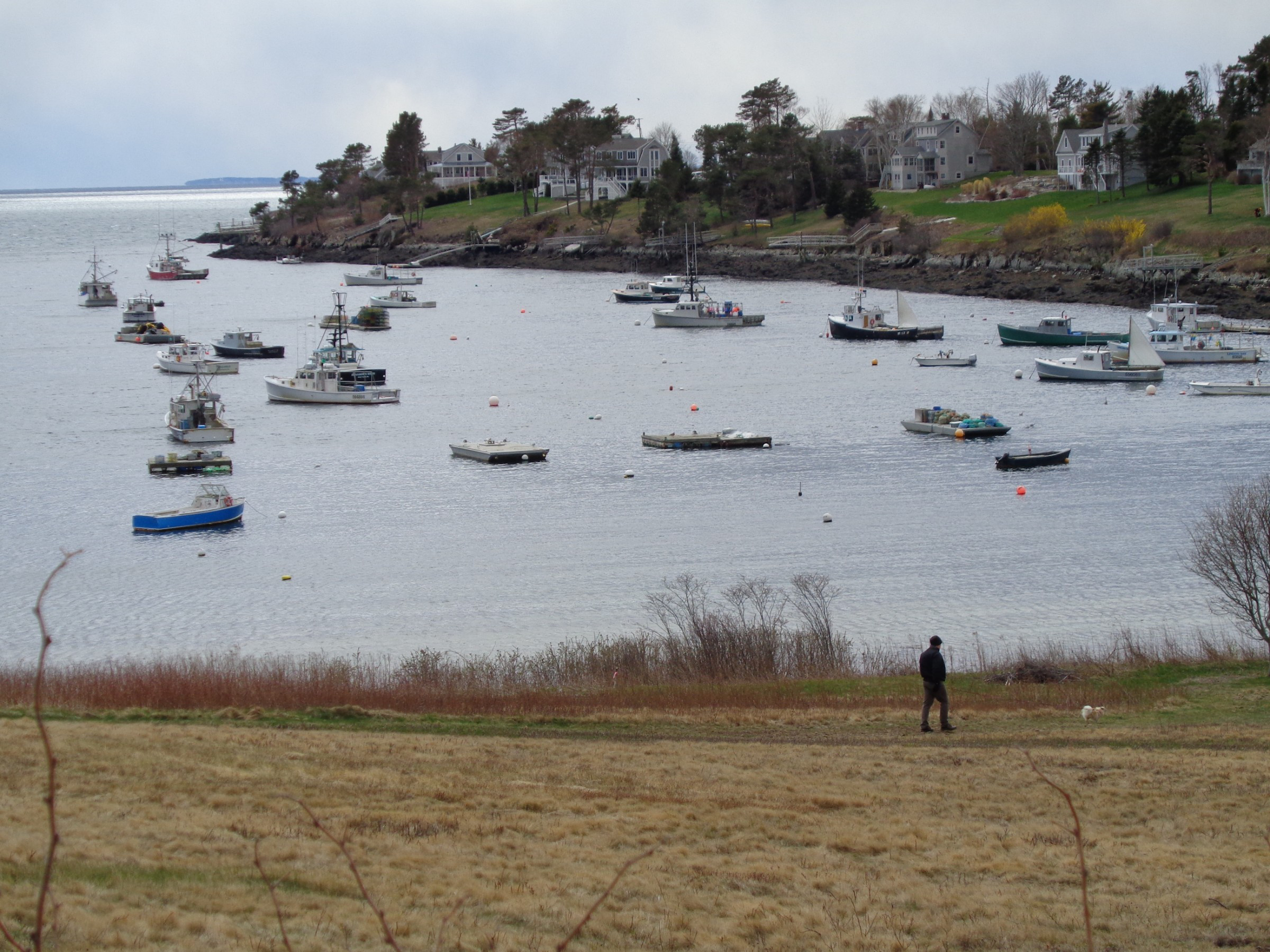 Lobster Cove Photo