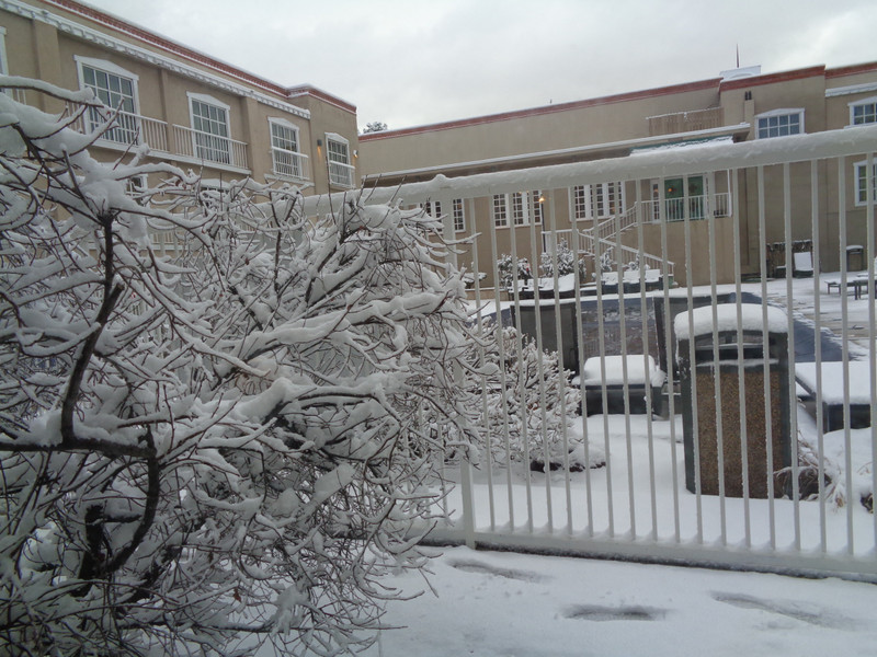 Snow out our Window