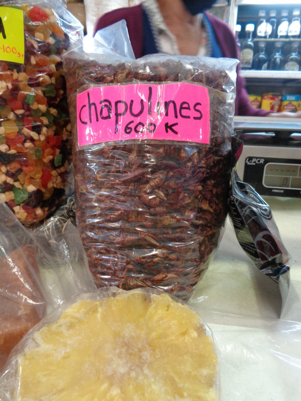 Bag of Grasshoppers