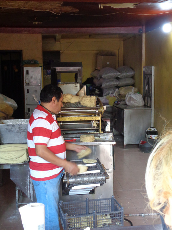 Tortilla shop 1