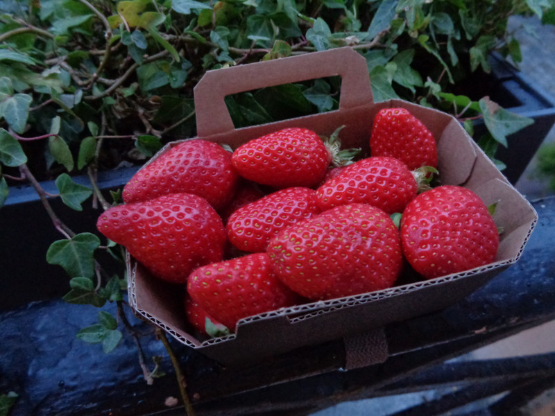 French Strawberries
