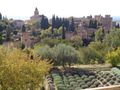 The Alhambra from the Generalife