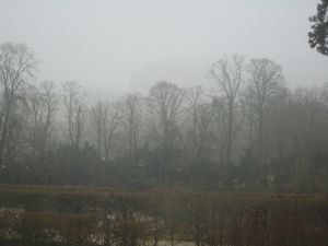 Chateau Versialles in the Fog