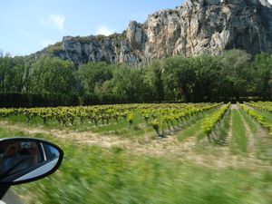 The Road to Avignon