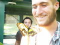 butterfly with the american guys