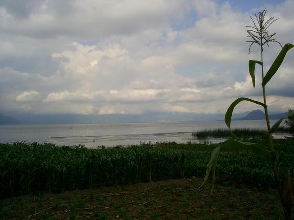 The land and lake of corn