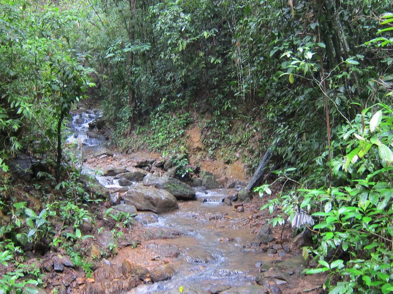 jungle river on elephant trek