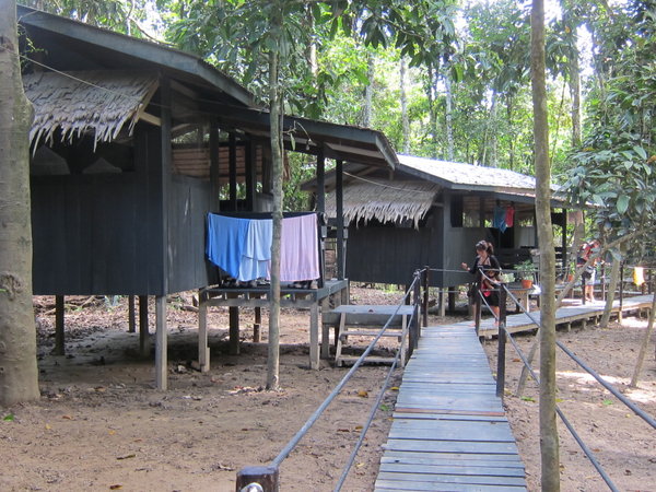 Huts - Camp