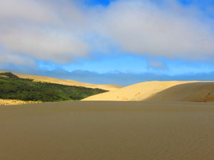 On the sand dunes