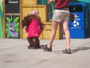 Orangutan at the animal show