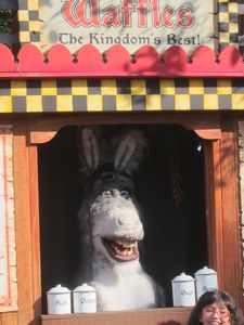 Donkey at Universal