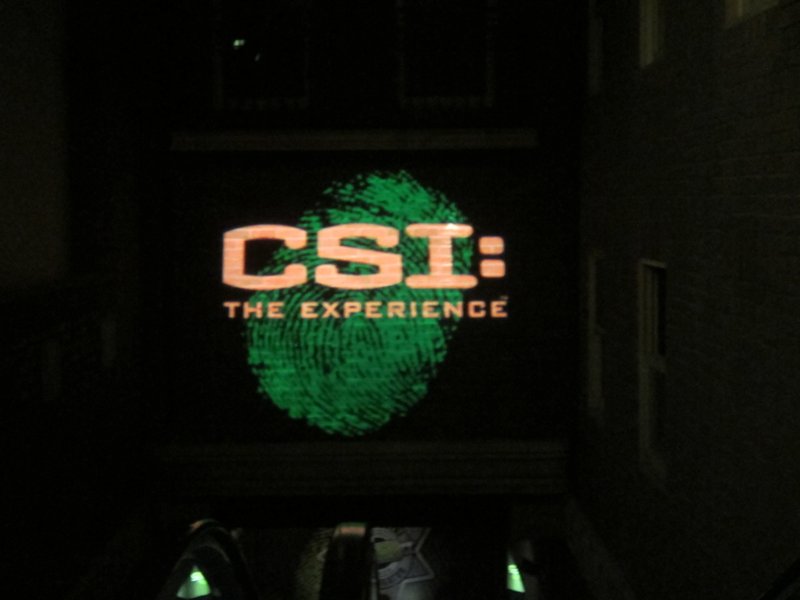 CSI - The Exhibition!