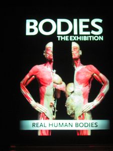 Bodies - The Exhibition!
