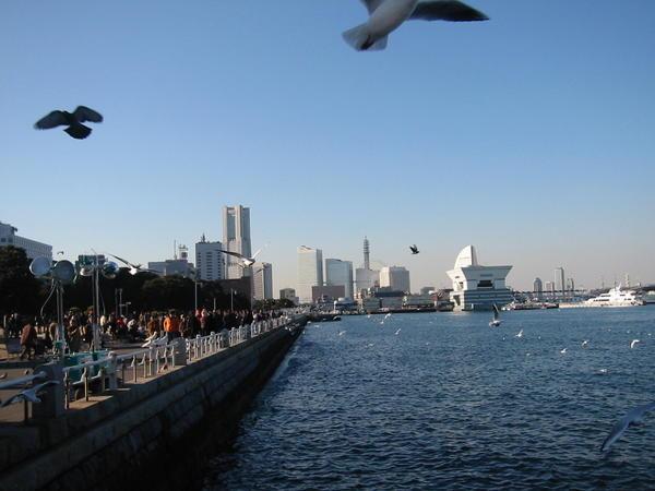 Yokohama Pier