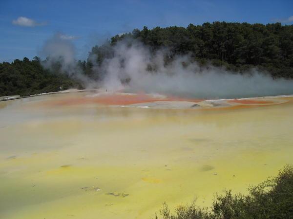 Natural Springs of Rotorua
