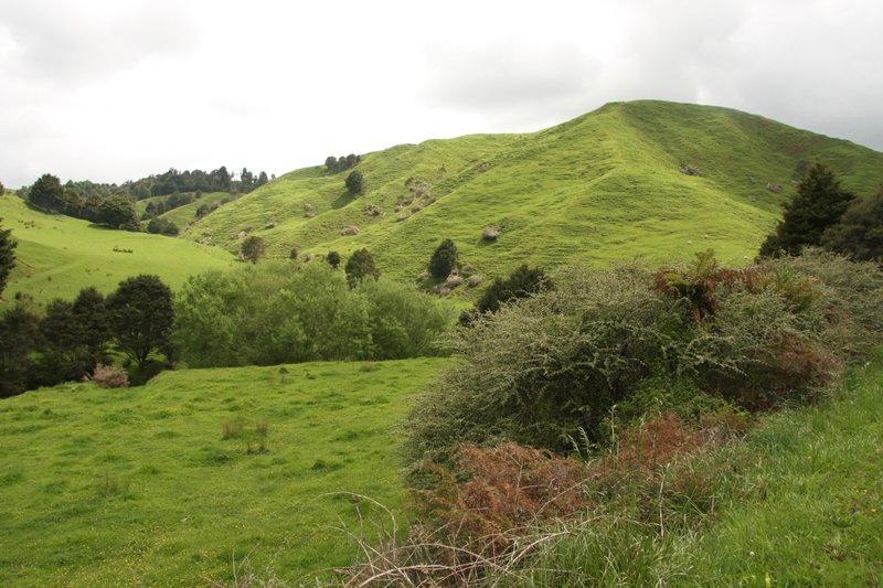 Soft Green Hills