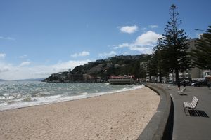 Wellington promenade