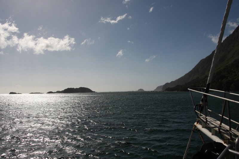 Tasman sea