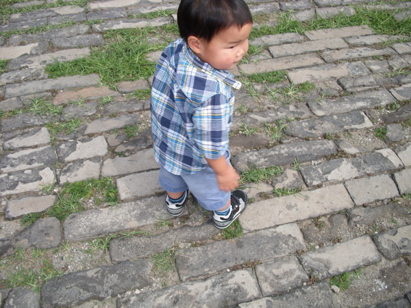 Bao Walking At