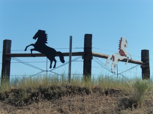 On someone's Ranch Fence