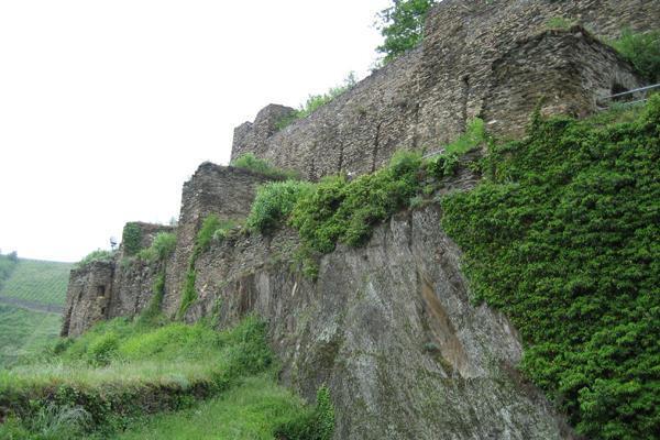 [17] Burg Rhinefels 