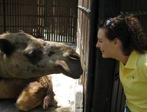 4 - Danni and the Camel