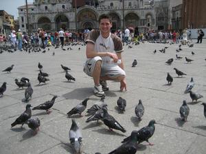 22 - Rog and the Pigeons