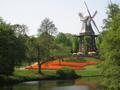 Windmill in Spring
