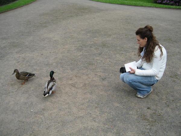 Danni and the Ducks