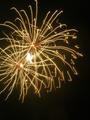 Fireworks Night - Clapham Common
