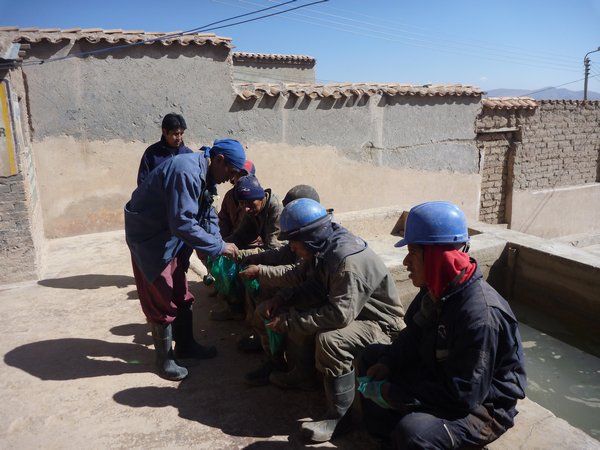 Giving the miners some coca leaves