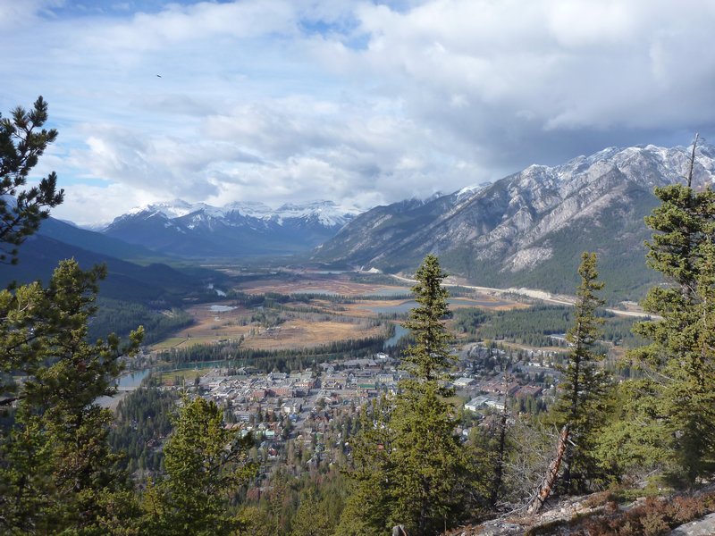 view from tunnel mountain over Bannf town