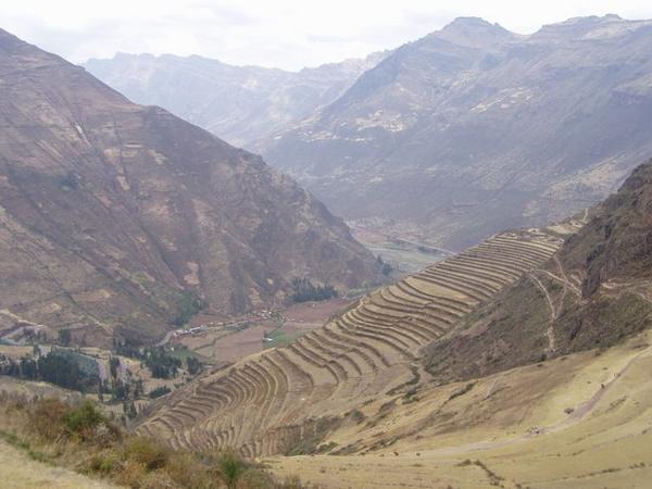 Peru is the world's largest producer of the coca leaf