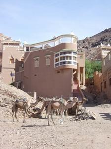 3 Camel Driveway