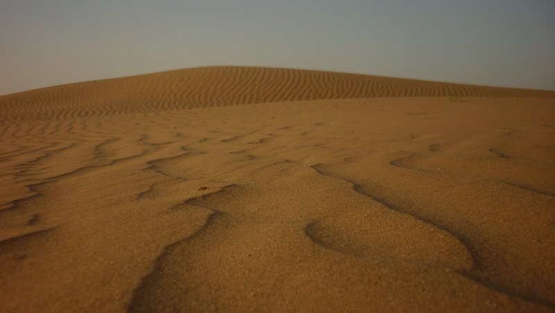 Beautiful Dunes