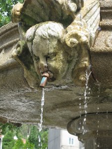 Fountain at Pazo de Lestrove