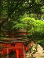 Kyoto: Fushi-Inari Shrine