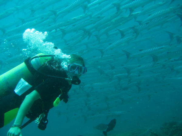 Me and some barracuda