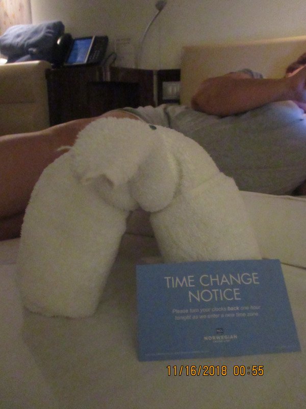 Tonights towel animal and the final time change for now