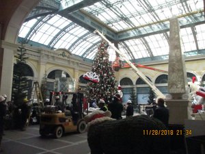 Bellagio conservatory remodeling 