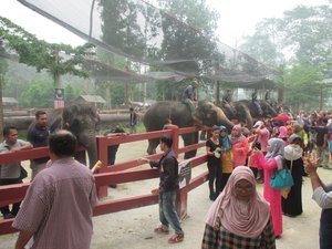 Elephant conservation centre
