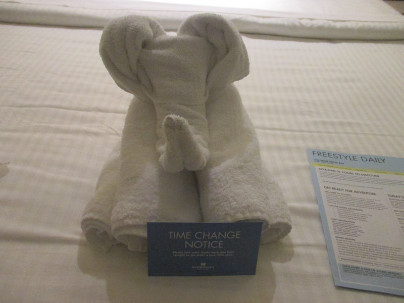 Towel animal for tonight - Including notice to change clocks