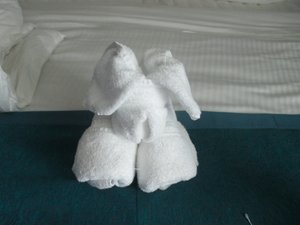 Towel animal this morning as we did not get one last night