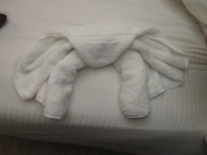 Towel animal for tonight