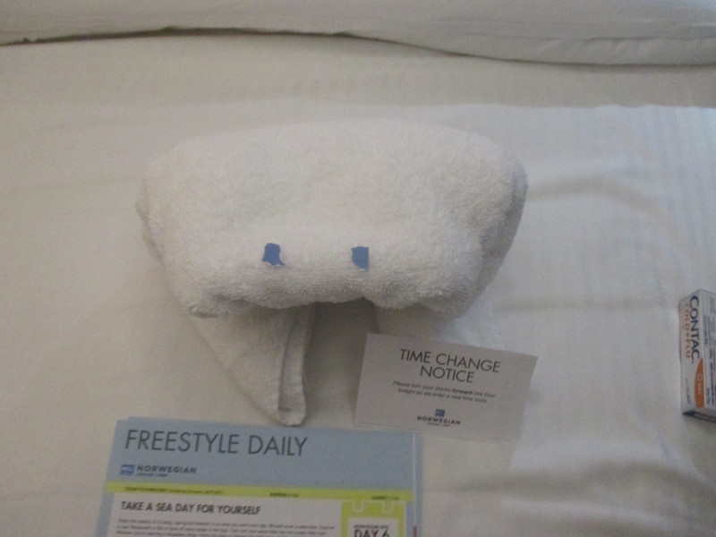 Towel animal for tonight and time change notification