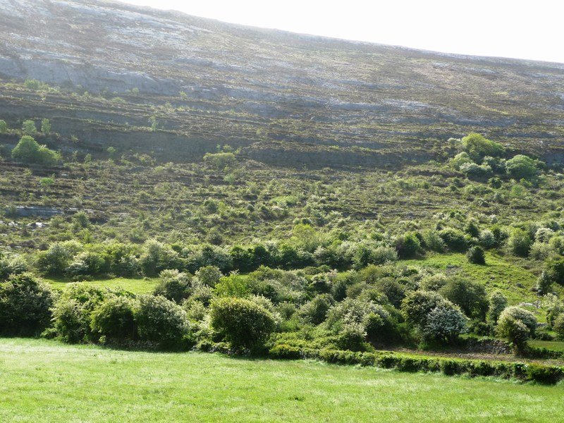 Burren landscape (1)