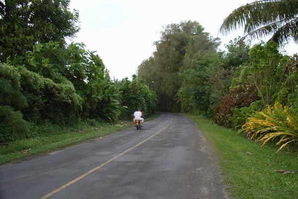 Main (outer) road, Rarotonga