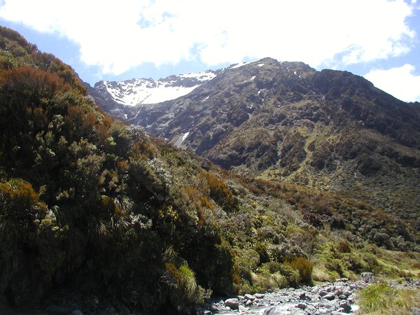 Nelson Lakes and Arthurs Pass 2009 079