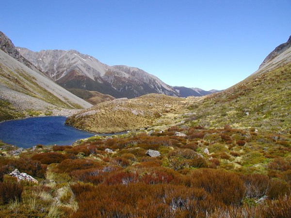 Nelson Lakes and Arthurs Pass 2009 088