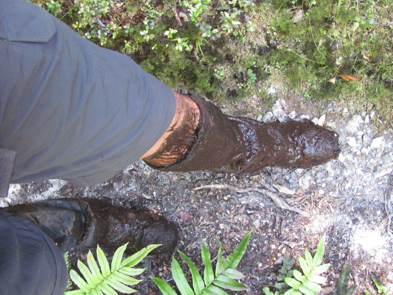muddy legs